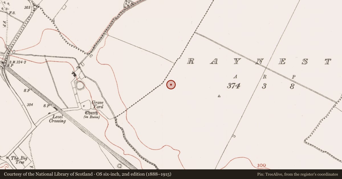 Ordnance Survey six-inch map, 2nd edition (1888–1915) covering the location of Moated site, Raynestown, County Meath, with a pin at the register's coordinates