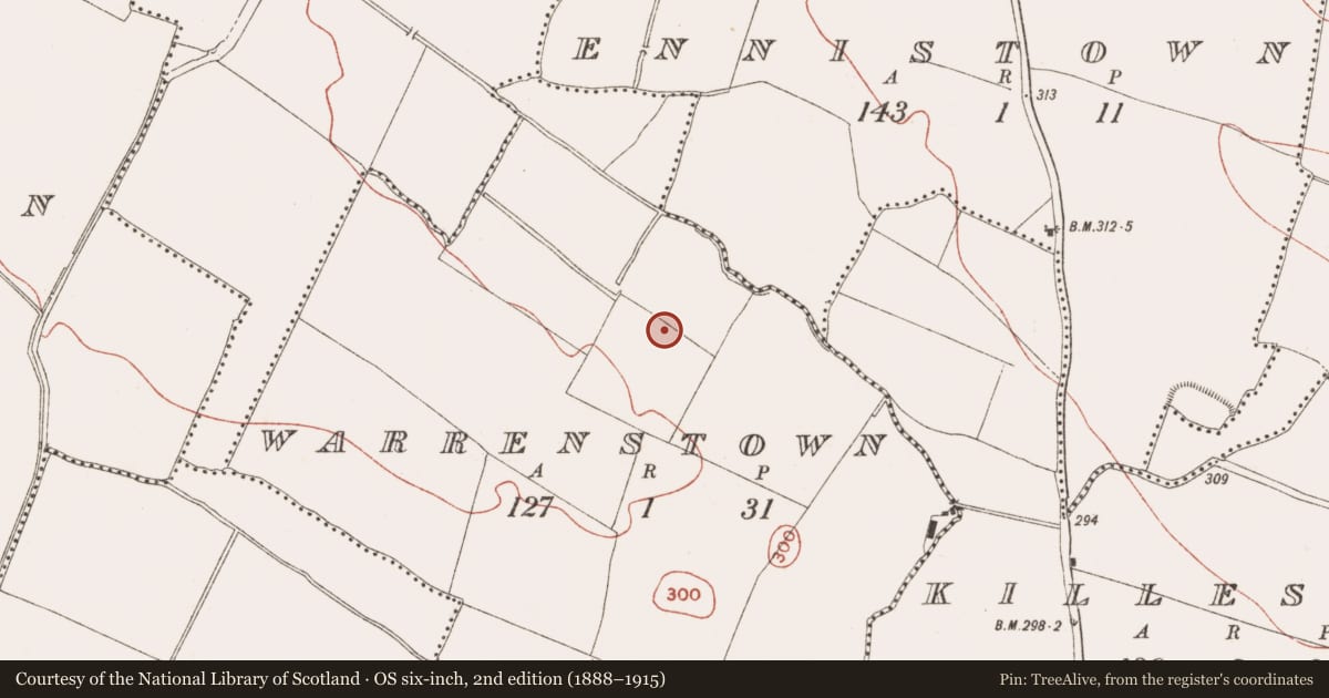 Ordnance Survey six-inch map, 2nd edition (1888–1915) covering the location of Field system, Warrenstown, County Meath, with a pin at the register's coordinates