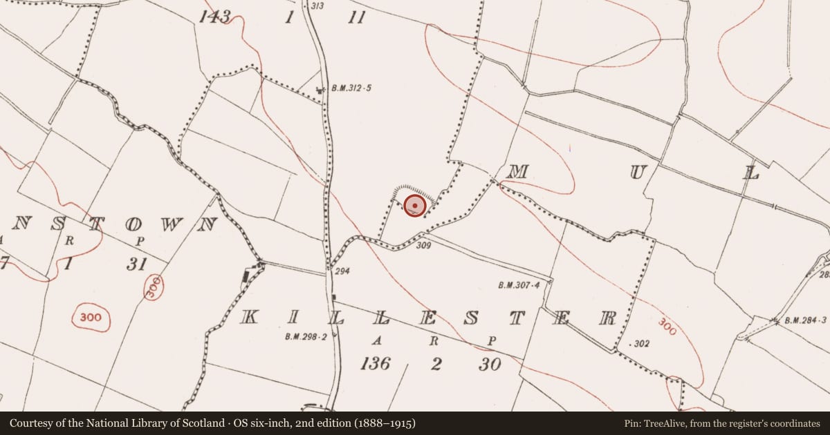 Ordnance Survey six-inch map, 2nd edition (1888–1915) covering the location of Enclosure, Ennistown, County Meath, with a pin at the register's coordinates