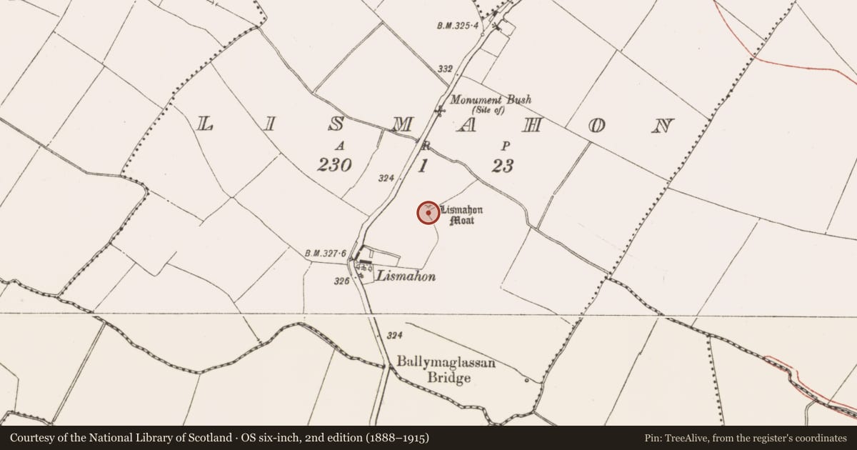 Ordnance Survey six-inch map, 2nd edition (1888–1915) covering the location of Mound, Lismahon, County Meath, with a pin at the register's coordinates