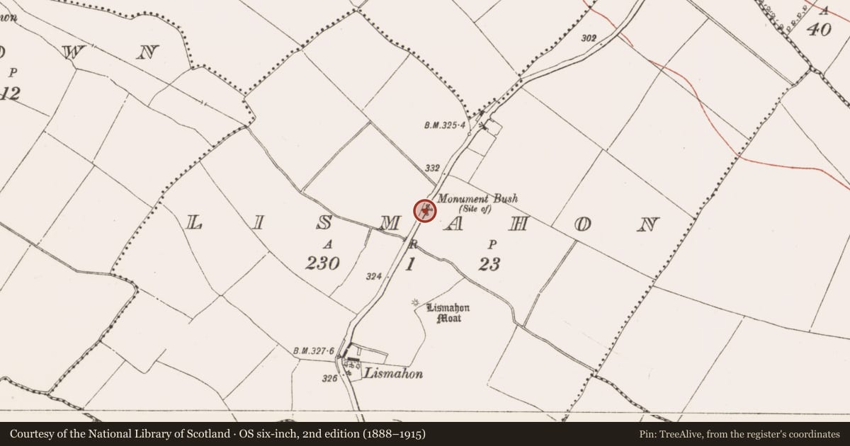 Ordnance Survey six-inch map, 2nd edition (1888–1915) covering the location of Ritual site - holy tree/bush, Lismahon, County Meath, with a pin at the register's coordinates