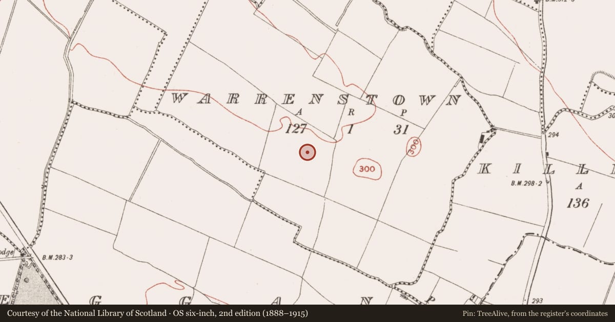 Ordnance Survey six-inch map, 2nd edition (1888–1915) covering the location of Ring-ditch, Warrenstown, County Meath, with a pin at the register's coordinates