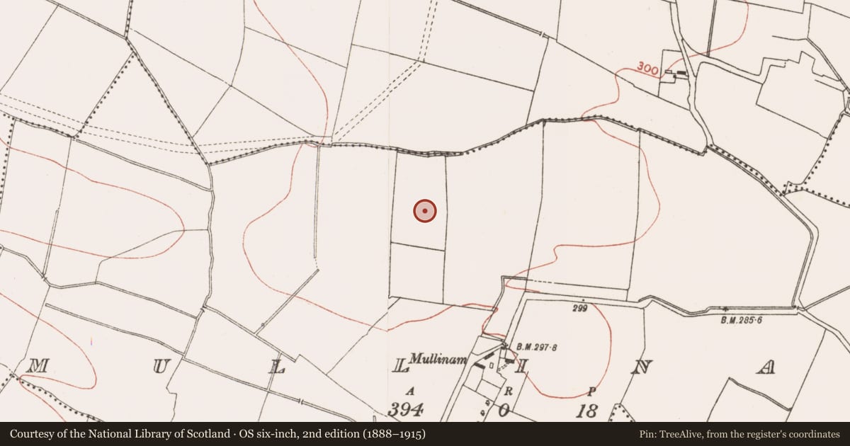 Ordnance Survey six-inch map, 2nd edition (1888–1915) covering the location of Ring-ditch, Mullinam, County Meath, with a pin at the register's coordinates