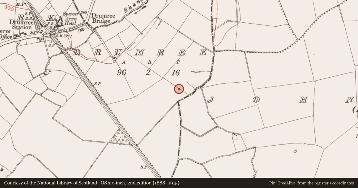 Ordnance Survey six-inch map, 2nd edition (1888–1915) covering the location of Kiln, Drumree, County Meath, with a pin at the register's coordinates