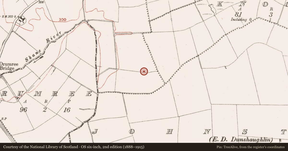 Ordnance Survey six-inch map, 2nd edition (1888–1915) covering the location of Fulacht fia, Leshemstown, County Meath, with a pin at the register's coordinates