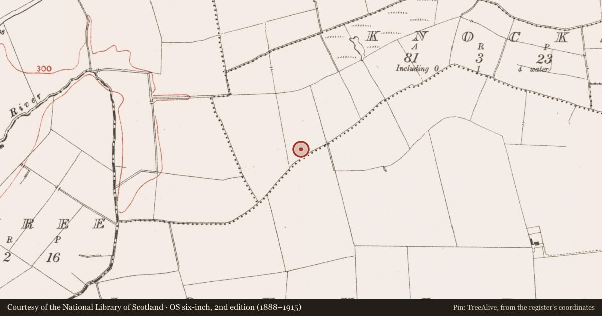 Ordnance Survey six-inch map, 2nd edition (1888–1915) covering the location of Ring-ditch, Knocks, County Meath, with a pin at the register's coordinates