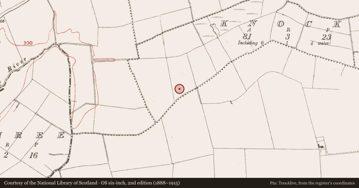 Ordnance Survey six-inch map, 2nd edition (1888–1915) covering the location of Fulacht fia, Knocks, County Meath, with a pin at the register's coordinates