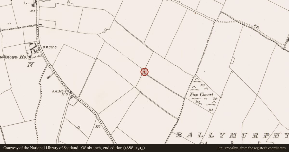 Ordnance Survey six-inch map, 2nd edition (1888–1915) covering the location of Fulacht fia, Dunshaughlin, County Meath, with a pin at the register's coordinates