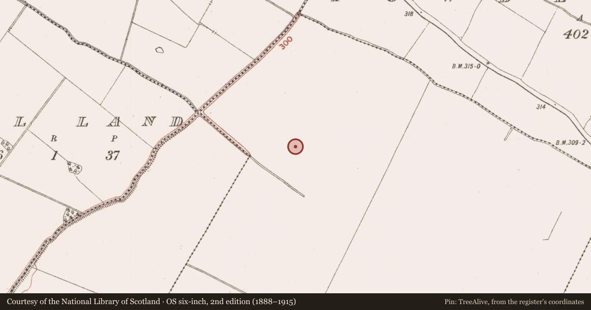 Ordnance Survey six-inch map, 2nd edition (1888–1915) covering the location of Fulacht fia, Raynestown, County Meath, with a pin at the register's coordinates