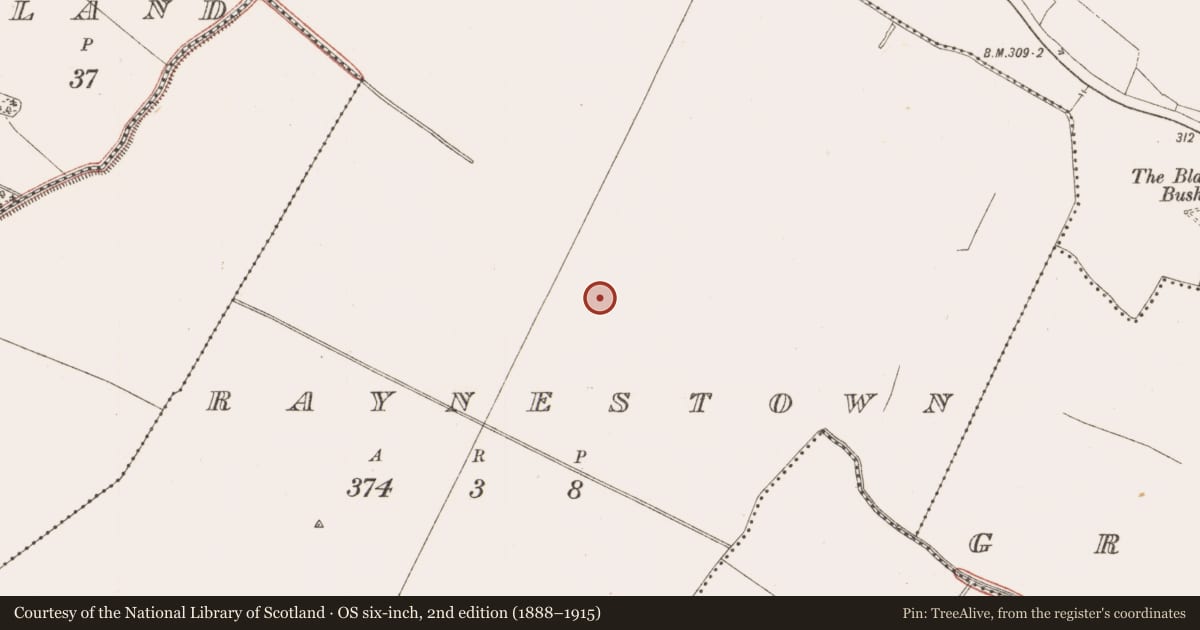 Ordnance Survey six-inch map, 2nd edition (1888–1915) covering the location of Ring-ditch, Raynestown, County Meath, with a pin at the register's coordinates