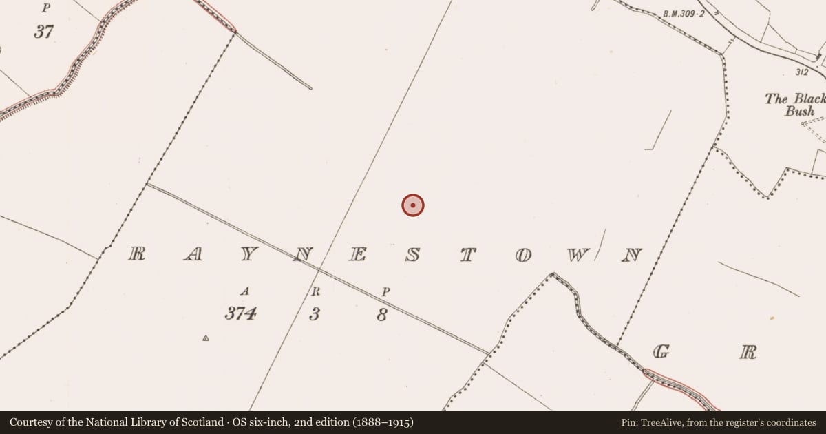 Ordnance Survey six-inch map, 2nd edition (1888–1915) covering the location of Kiln, Raynestown, County Meath, with a pin at the register's coordinates