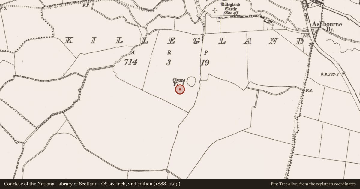 Ordnance Survey six-inch map, 2nd edition (1888–1915) covering the location of Souterrain, Killegland, County Meath, with a pin at the register's coordinates