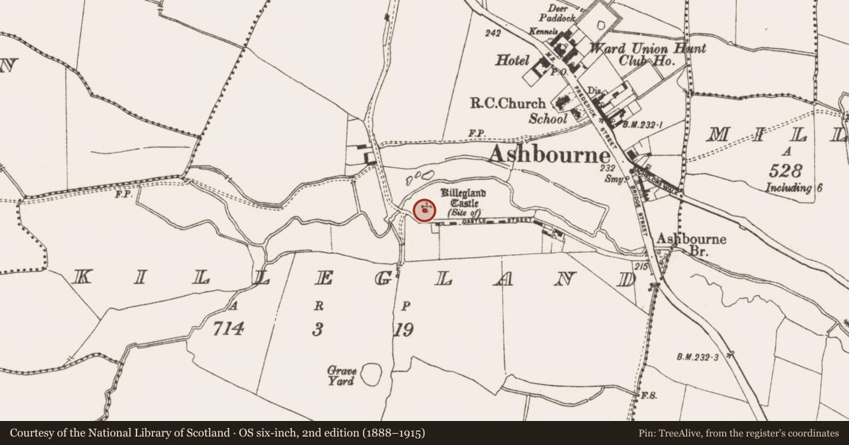 Ordnance Survey six-inch map, 2nd edition (1888–1915) covering the location of Castle - tower house, Killegland, County Meath, with a pin at the register's coordinates