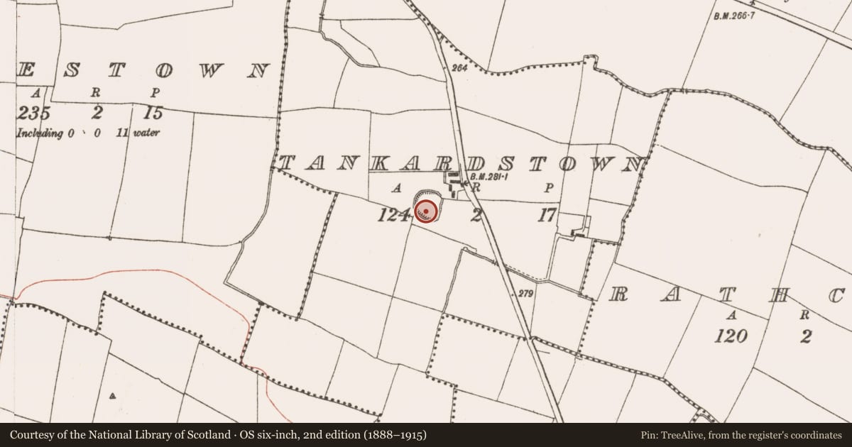 Ordnance Survey six-inch map, 2nd edition (1888–1915) covering the location of Enclosure, Tankardstown, County Meath, with a pin at the register's coordinates