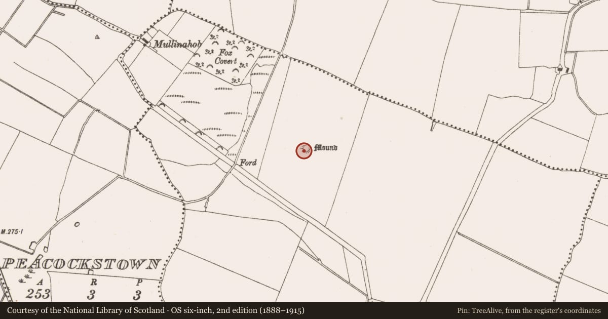 Ordnance Survey six-inch map, 2nd edition (1888–1915) covering the location of Enclosure, Kilrue, County Meath, with a pin at the register's coordinates
