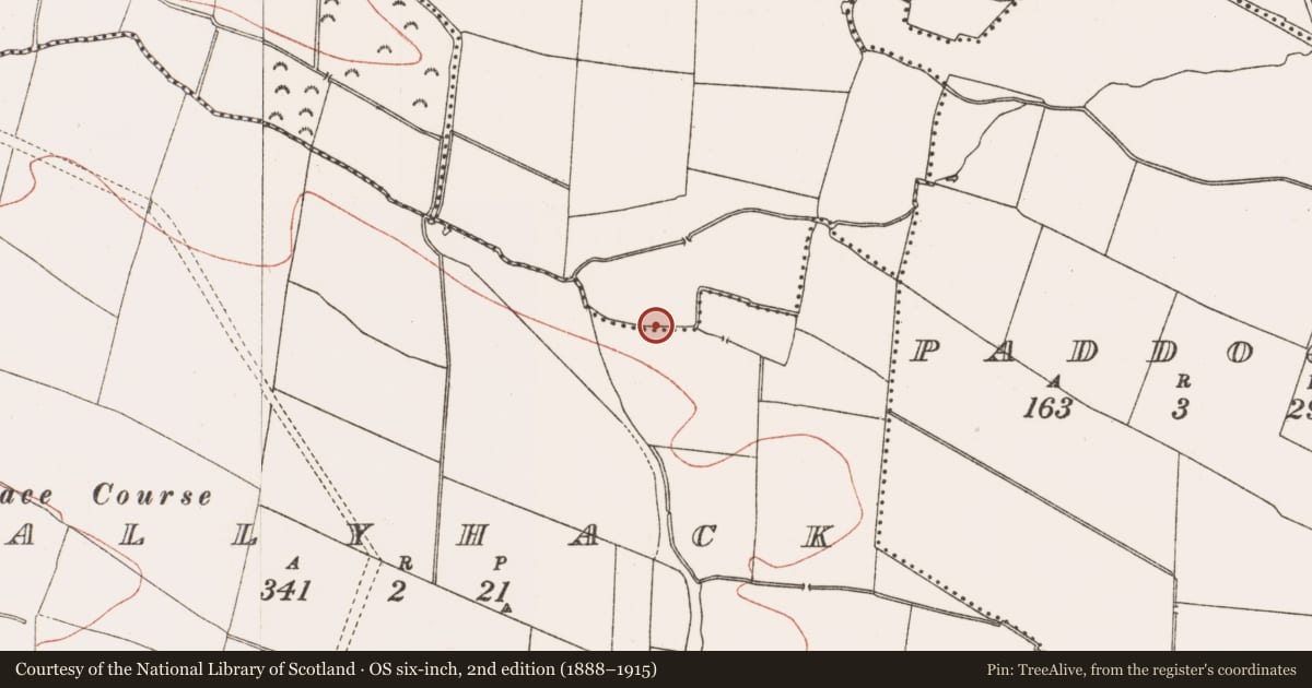 Ordnance Survey six-inch map, 2nd edition (1888–1915) covering the location of Ring-ditch, Glascarn, County Meath, with a pin at the register's coordinates