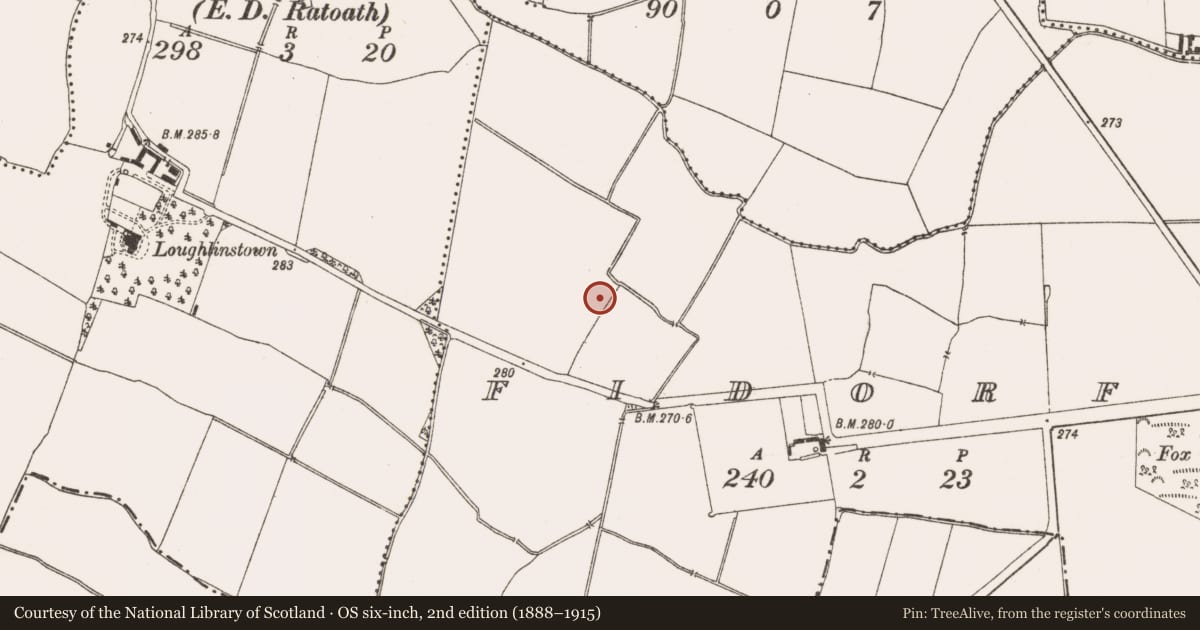 Ordnance Survey six-inch map, 2nd edition (1888–1915) covering the location of Field system, Fidorfe, County Meath, with a pin at the register's coordinates