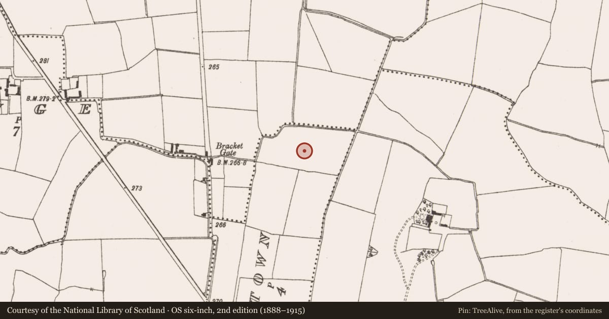 Ordnance Survey six-inch map, 2nd edition (1888–1915) covering the location of Field system, Cheeverstown, County Meath, with a pin at the register's coordinates