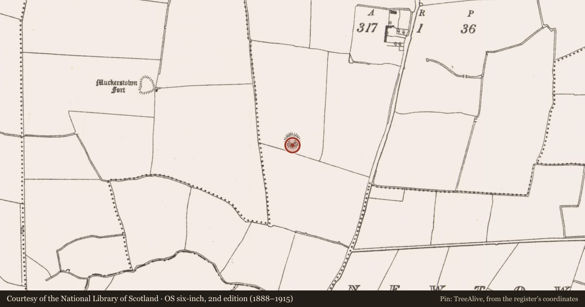 Ordnance Survey six-inch map, 2nd edition (1888–1915) covering the location of Ringfort - rath, Wotton, County Meath, with a pin at the register's coordinates