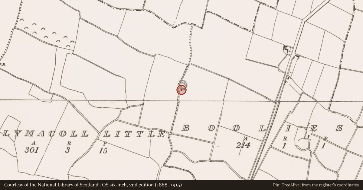 Ordnance Survey six-inch map, 2nd edition (1888–1915) covering the location of Ringfort - rath, Boolies, County Meath, with a pin at the register's coordinates
