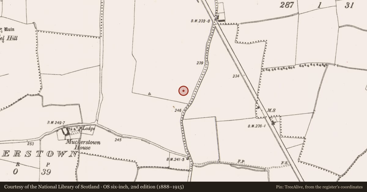 Ordnance Survey six-inch map, 2nd edition (1888–1915) covering the location of Field system, Muckerstown, Wotton, County Meath, with a pin at the register's coordinates