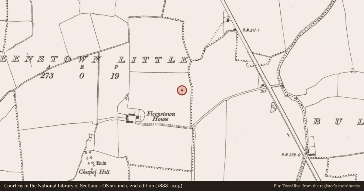 Ordnance Survey six-inch map, 2nd edition (1888–1915) covering the location of Pit, Fleenstown Little, County Meath, with a pin at the register's coordinates