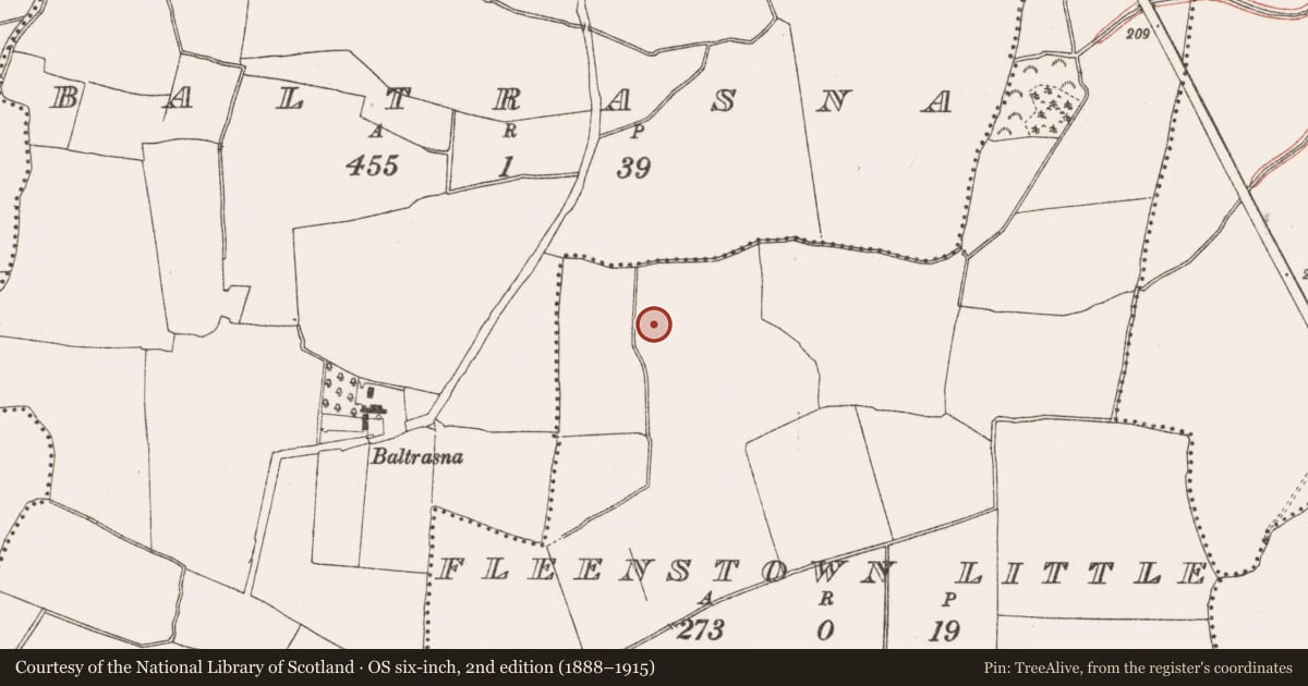Ordnance Survey six-inch map, 2nd edition (1888–1915) covering the location of Field boundary, Fleenstown Little, County Meath, with a pin at the register's coordinates