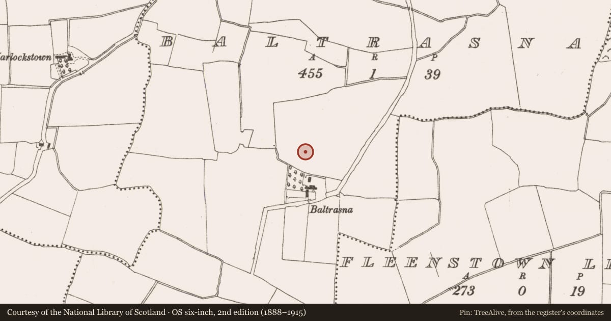 Ordnance Survey six-inch map, 2nd edition (1888–1915) covering the location of Field boundary, Baltrasna, County Meath, with a pin at the register's coordinates
