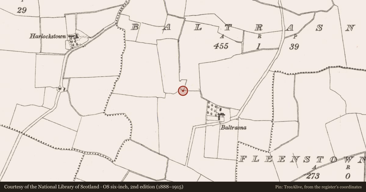 Ordnance Survey six-inch map, 2nd edition (1888–1915) covering the location of Habitation site, Baltrasna, County Meath, with a pin at the register's coordinates