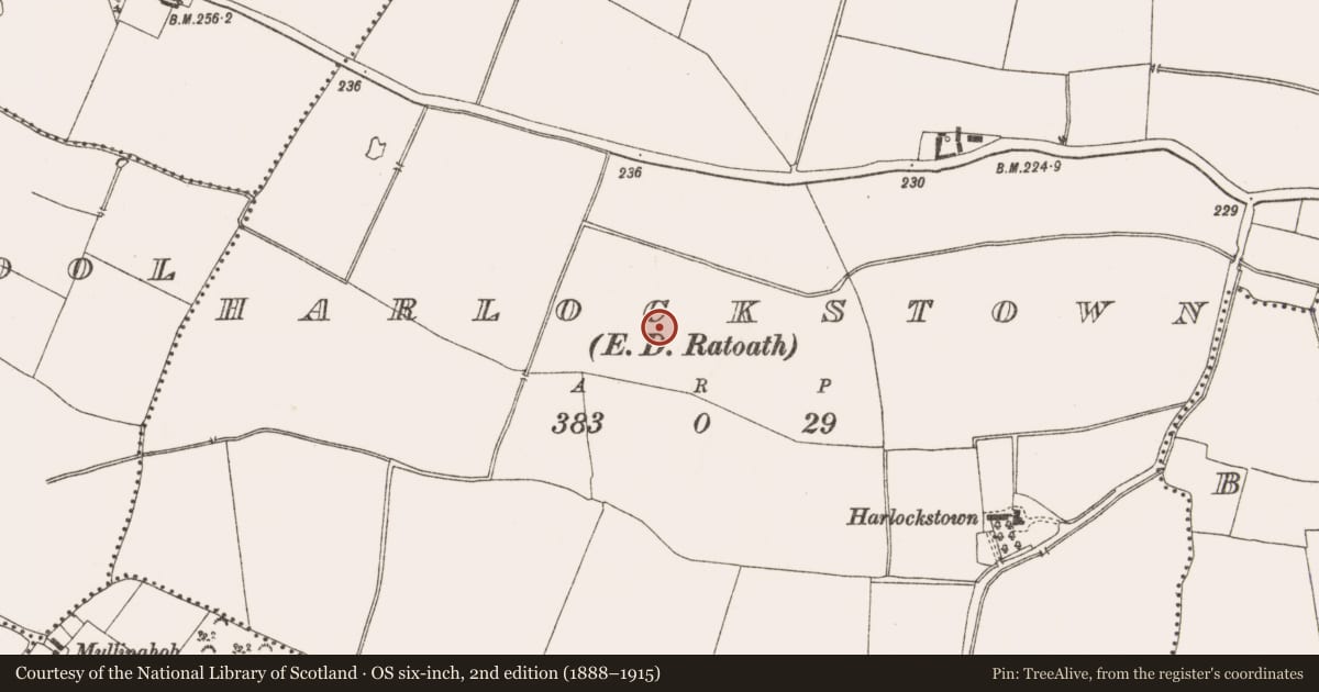 Ordnance Survey six-inch map, 2nd edition (1888–1915) covering the location of Metalworking site, Harlockstown, County Meath, with a pin at the register's coordinates