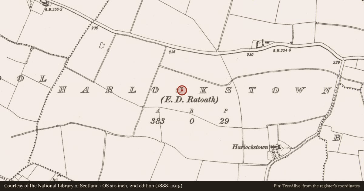 Ordnance Survey six-inch map, 2nd edition (1888–1915) covering the location of Ring-ditch, Harlockstown, County Meath, with a pin at the register's coordinates