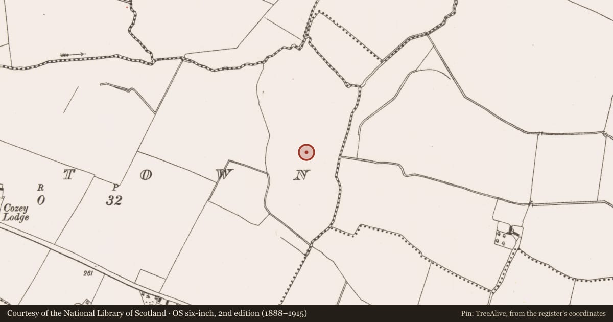 Ordnance Survey six-inch map, 2nd edition (1888–1915) covering the location of Burial ground, Raystown, County Meath, with a pin at the register's coordinates