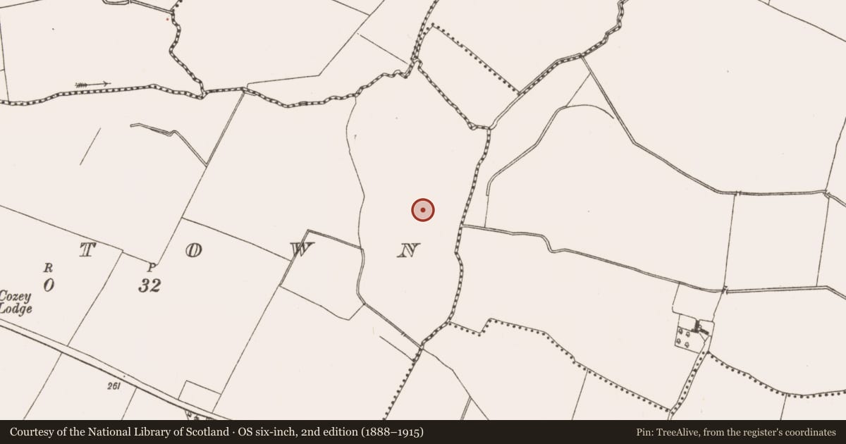 Ordnance Survey six-inch map, 2nd edition (1888–1915) covering the location of Metalworking site, Raystown, County Meath, with a pin at the register's coordinates