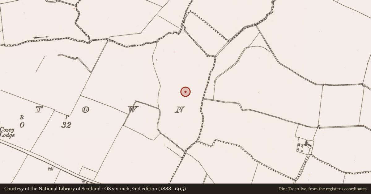 Ordnance Survey six-inch map, 2nd edition (1888–1915) covering the location of Habitation site, Raystown, County Meath, with a pin at the register's coordinates