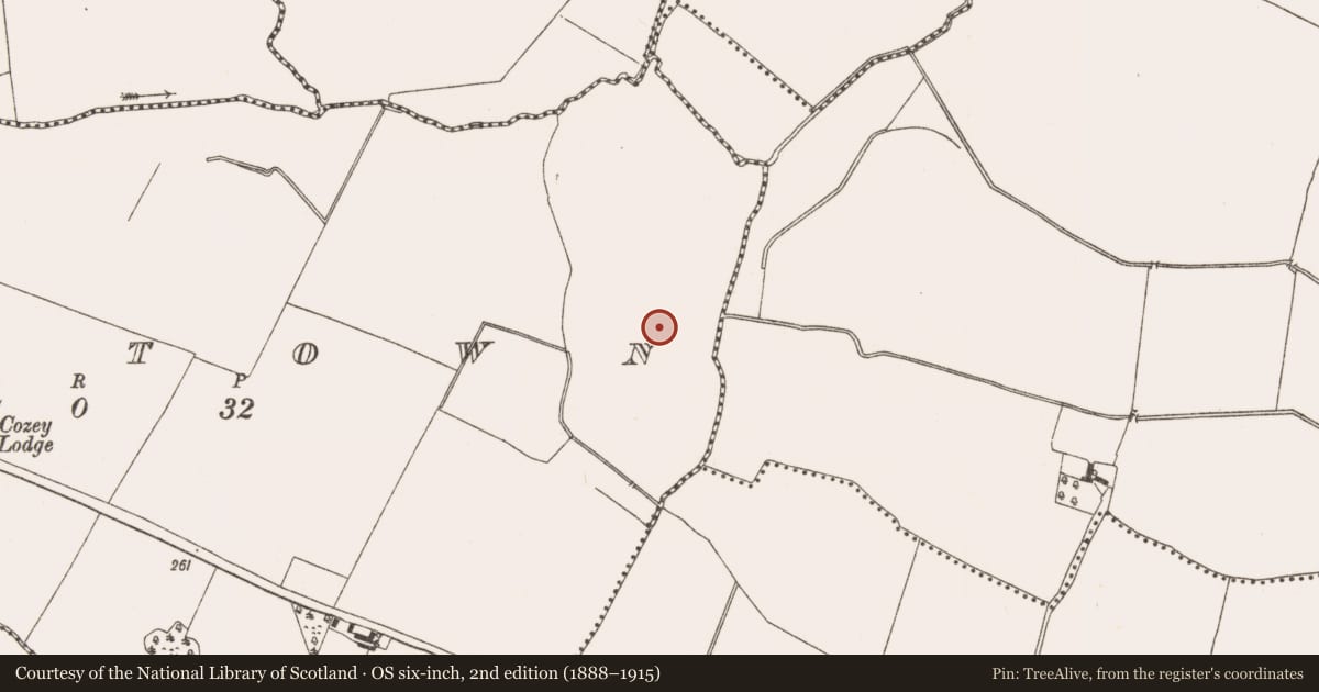 Ordnance Survey six-inch map, 2nd edition (1888–1915) covering the location of Kiln - corn-drying, Raystown, County Meath, with a pin at the register's coordinates