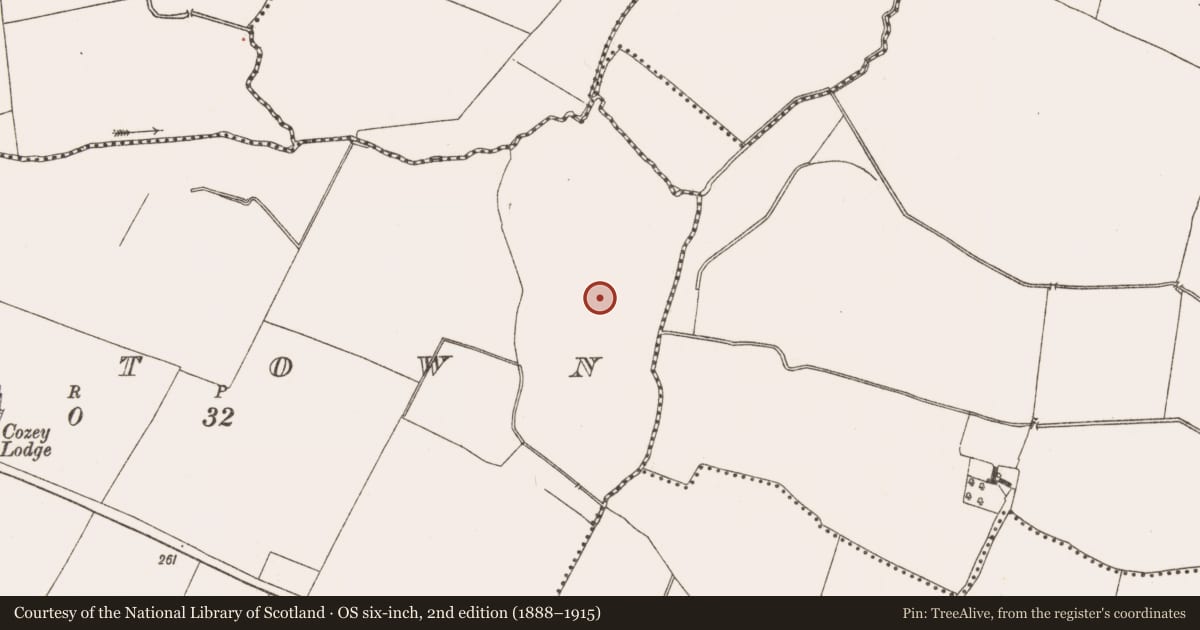 Ordnance Survey six-inch map, 2nd edition (1888–1915) covering the location of Souterrain, Raystown, County Meath, with a pin at the register's coordinates