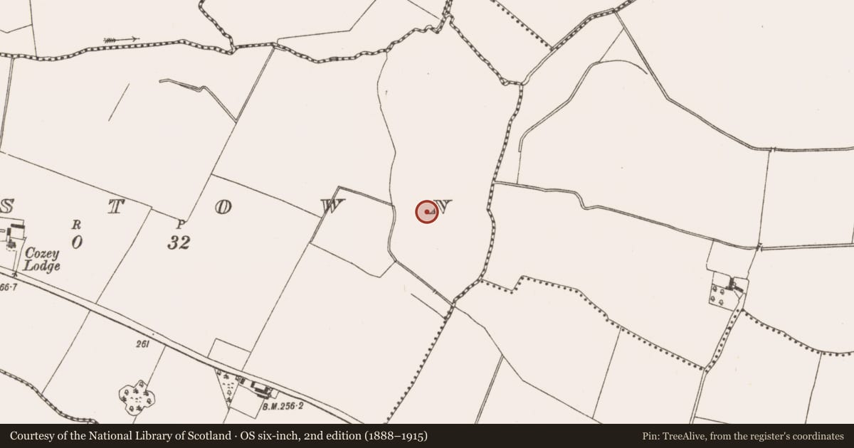Ordnance Survey six-inch map, 2nd edition (1888–1915) covering the location of Field system, Raystown, County Meath, with a pin at the register's coordinates