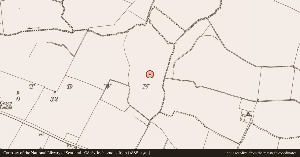 Ordnance Survey six-inch map, 2nd edition (1888–1915) covering the location of Enclosure, Raystown, County Meath, with a pin at the register's coordinates