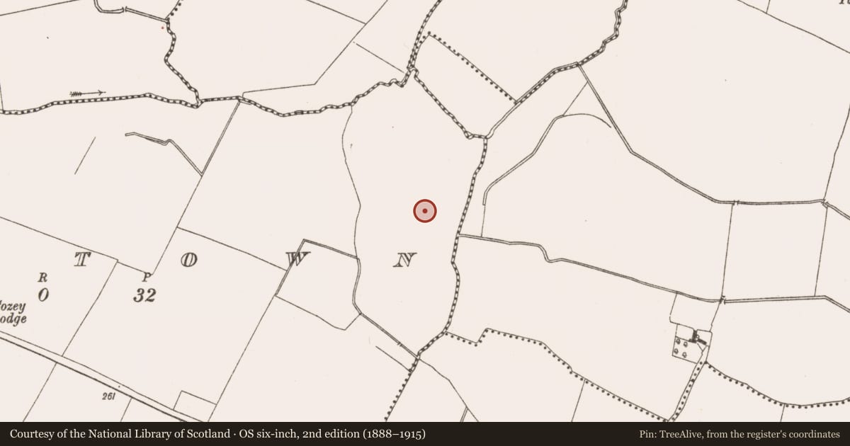 Ordnance Survey six-inch map, 2nd edition (1888–1915) covering the location of Water mill - horizontal-wheeled, Raystown, County Meath, with a pin at the register's coordinates