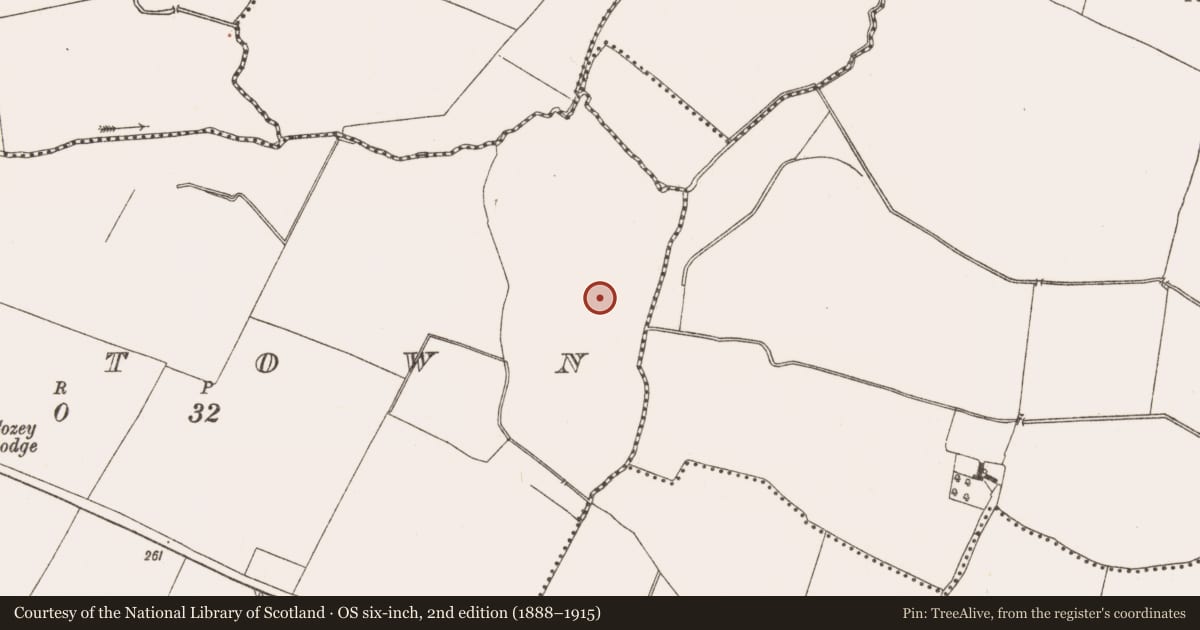 Ordnance Survey six-inch map, 2nd edition (1888–1915) covering the location of Water mill - horizontal-wheeled, Raystown, County Meath, with a pin at the register's coordinates