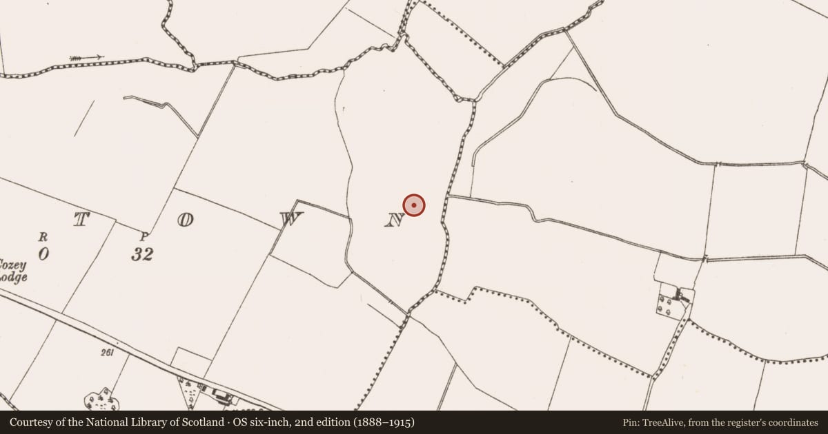 Ordnance Survey six-inch map, 2nd edition (1888–1915) covering the location of Water mill - horizontal-wheeled, Raystown, County Meath, with a pin at the register's coordinates