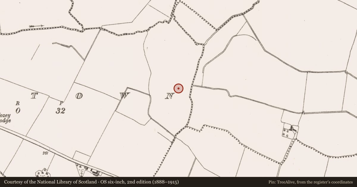 Ordnance Survey six-inch map, 2nd edition (1888–1915) covering the location of Water mill - horizontal-wheeled, Raystown, County Meath, with a pin at the register's coordinates