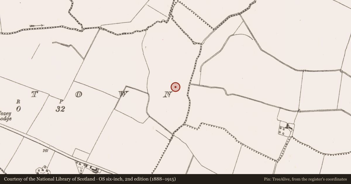 Ordnance Survey six-inch map, 2nd edition (1888–1915) covering the location of Water mill - horizontal-wheeled, Raystown, County Meath, with a pin at the register's coordinates