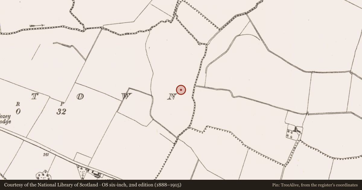 Ordnance Survey six-inch map, 2nd edition (1888–1915) covering the location of Water mill - horizontal-wheeled, Raystown, County Meath, with a pin at the register's coordinates