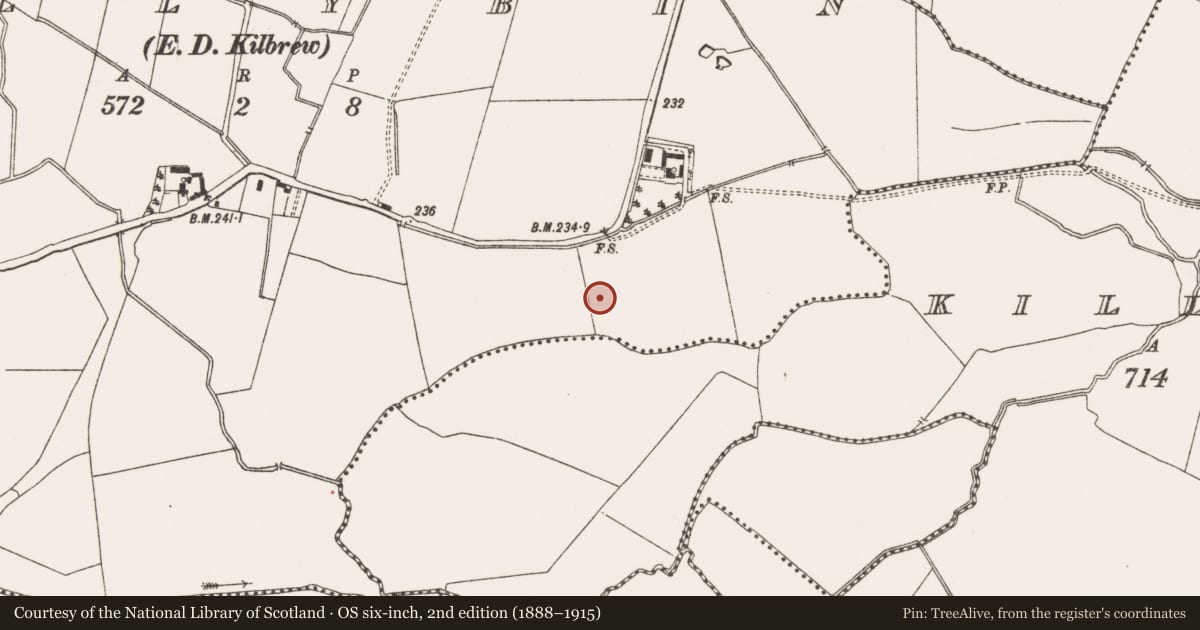 Ordnance Survey six-inch map, 2nd edition (1888–1915) covering the location of Industrial site, Ballybin (Ratoath By., Cookstown Par.), County Meath, with a pin at the register's coordinates
