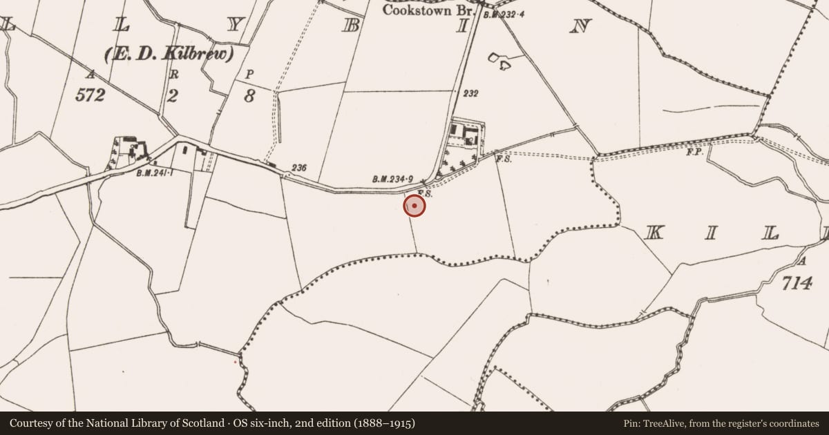 Ordnance Survey six-inch map, 2nd edition (1888–1915) covering the location of Well, Ballybin (Ratoath By., Cookstown Par.), County Meath, with a pin at the register's coordinates
