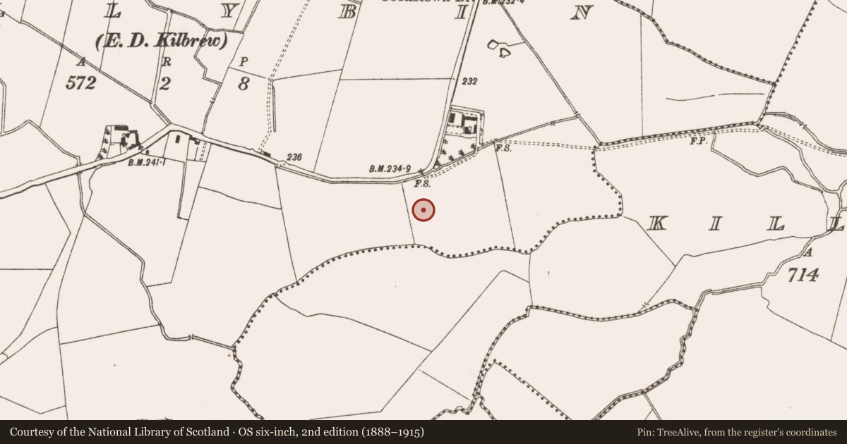 Ordnance Survey six-inch map, 2nd edition (1888–1915) covering the location of Well, Ballybin (Ratoath By., Cookstown Par.), County Meath, with a pin at the register's coordinates
