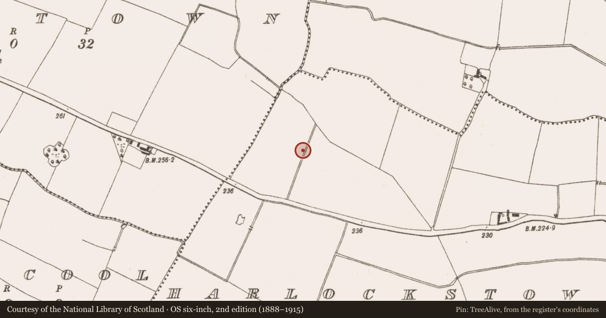 Ordnance Survey six-inch map, 2nd edition (1888–1915) covering the location of Fulacht fia, Harlockstown, County Meath, with a pin at the register's coordinates
