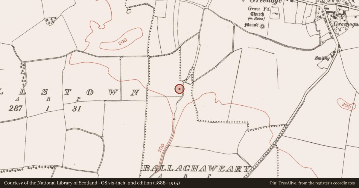 Ordnance Survey six-inch map, 2nd edition (1888–1915) covering the location of Enclosure, Ballaghaweary, County Meath, with a pin at the register's coordinates