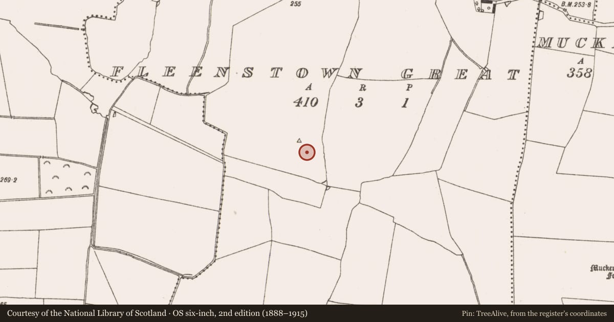 Ordnance Survey six-inch map, 2nd edition (1888–1915) covering the location of Enclosure, Fleenstown Great, County Meath, with a pin at the register's coordinates